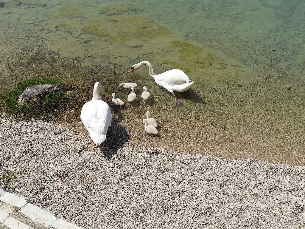 Otočić Visovac i NP Krka_2025_17