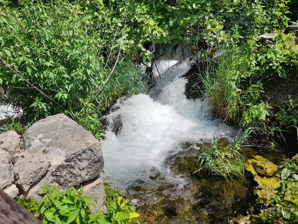 Otočić Visovac i NP Krka_2025_27