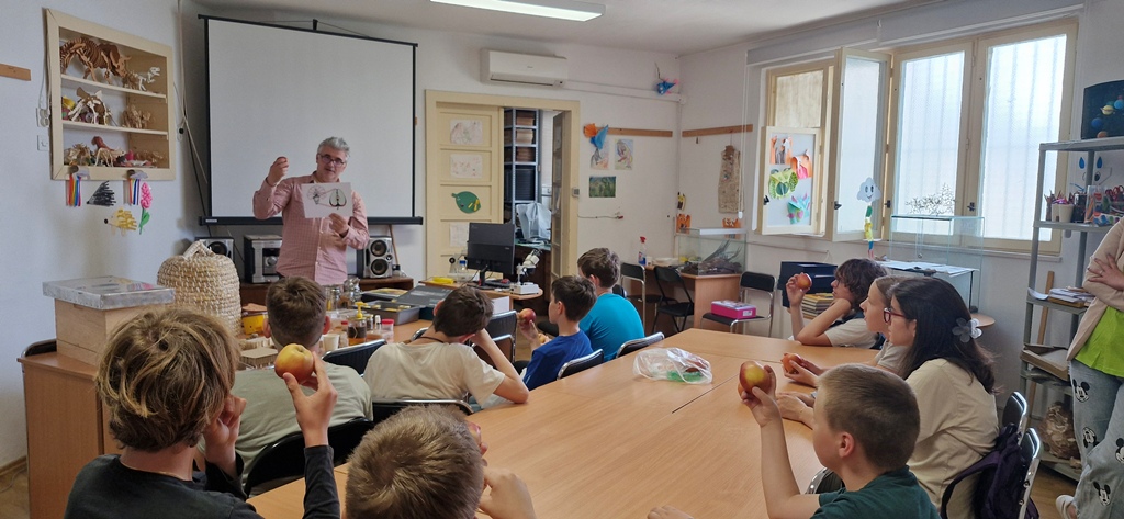 Prirodoslovni muzej Split_OŠ Grohote_2025_01