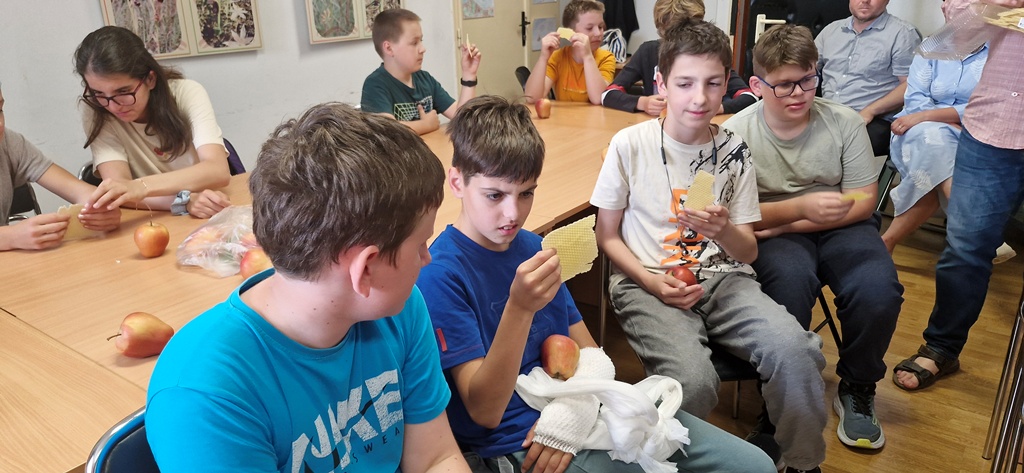 Prirodoslovni muzej Split_OŠ Grohote_2025_09
