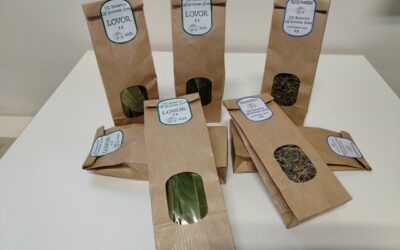 Mediteransko začinsko bilje