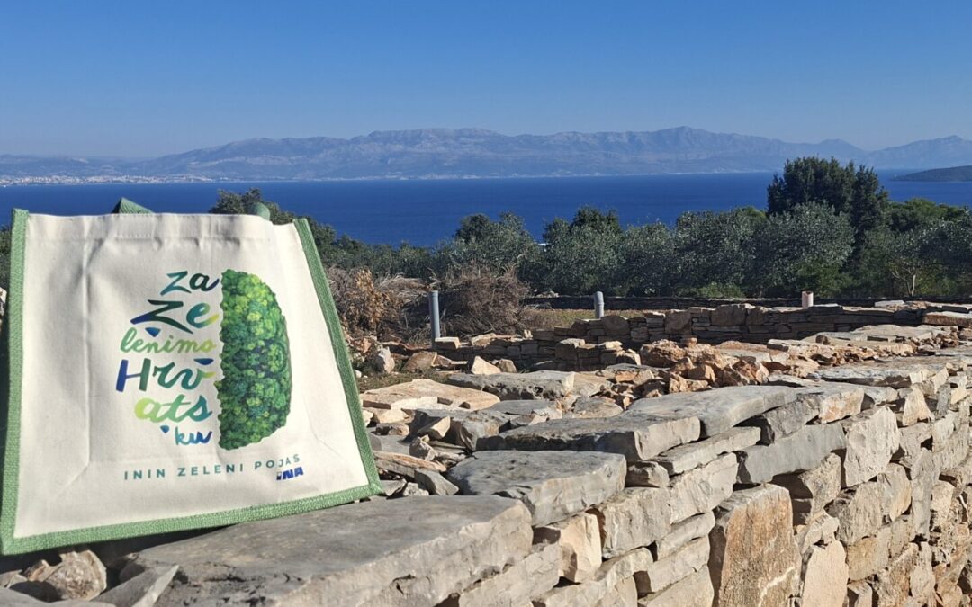 Realiziran projekt Kameni tragovi – izgrađene suhozidne klupice i zidići u školskom dvorištu