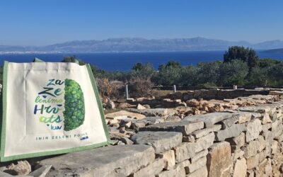 Realiziran projekt Kameni tragovi – izgrađene suhozidne klupice i zidići u školskom dvorištu