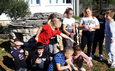 Živi svijet u kamenu suhozida