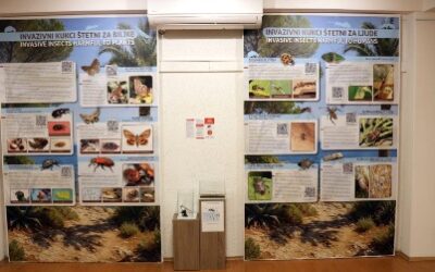 “Invazija – invazivne vrste na području SDŽ” – Prirodoslovni muzej u Splitu