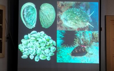 U Prirodoslovnom muzeju: mekušci – anatomija i kretanje