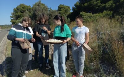 Dan Ekoškole: drugaši u školskom vrtu i branje buhača